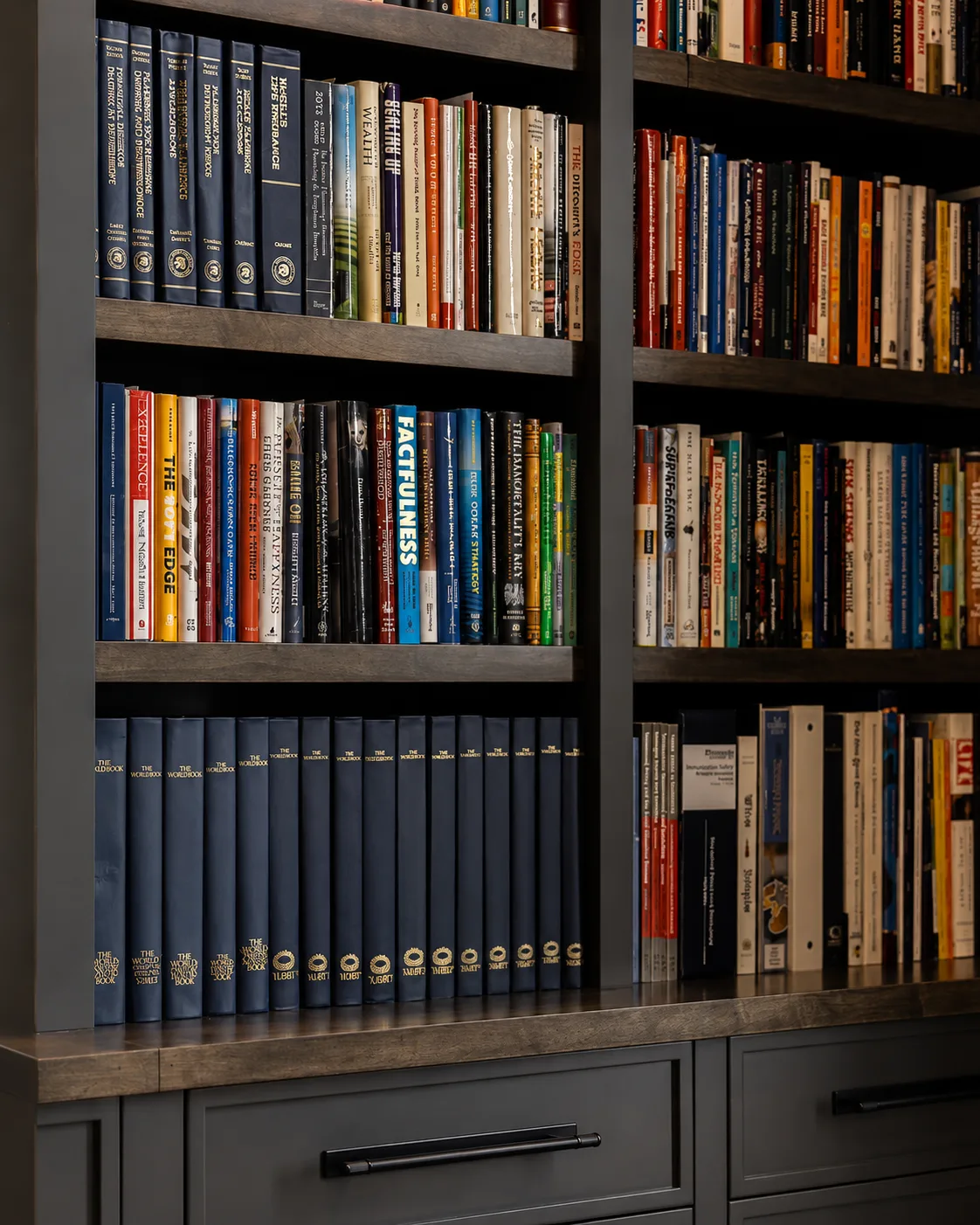 Dark finished library built-ins with stained shelf edges, books, and paneled drawers